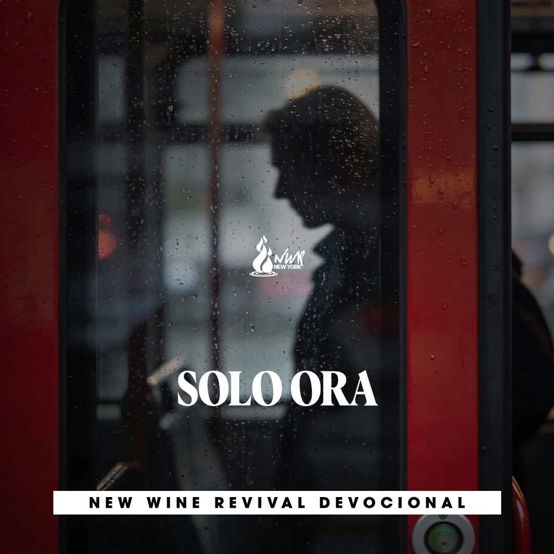 Read more about the article SOLO ORA