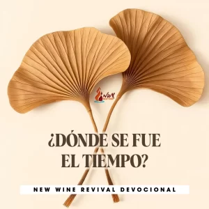 Read more about the article ¿DÓNDE SE FUE EL TIEMPO?