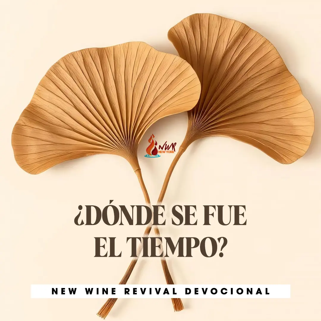 Read more about the article ¿DÓNDE SE FUE EL TIEMPO?