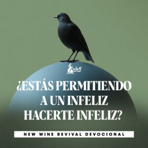 Read more about the article ¿ESTÁS PERMITIENDO A UN INFELIZ HACERTE INFELIZ?
