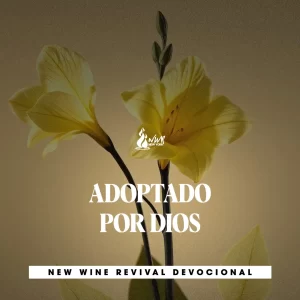 Read more about the article 30Mar – ADOPTADO POR DIOS