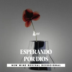 Read more about the article ESPERANDO POR DIOS