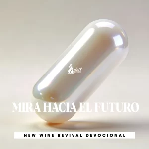 Read more about the article MIRA HACIA EL FUTURO