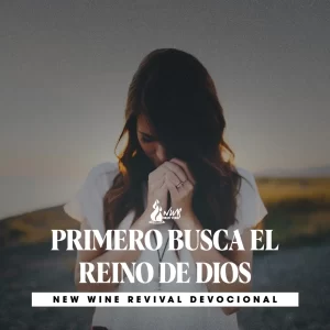 Read more about the article PRIMERO BUSCA EL REINO DE DIOS