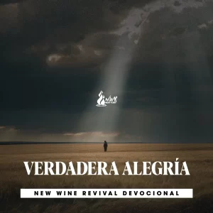 Read more about the article VERDADERA ALEGRÍA