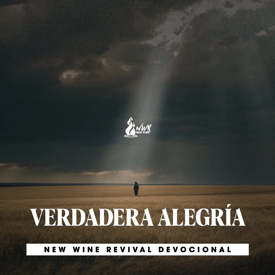 Read more about the article VERDADERA ALEGRÍA