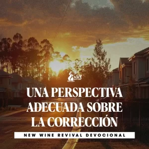 Read more about the article UNA PERSPECTIVA ADECUADA SOBRE LA CORRECCIÓN