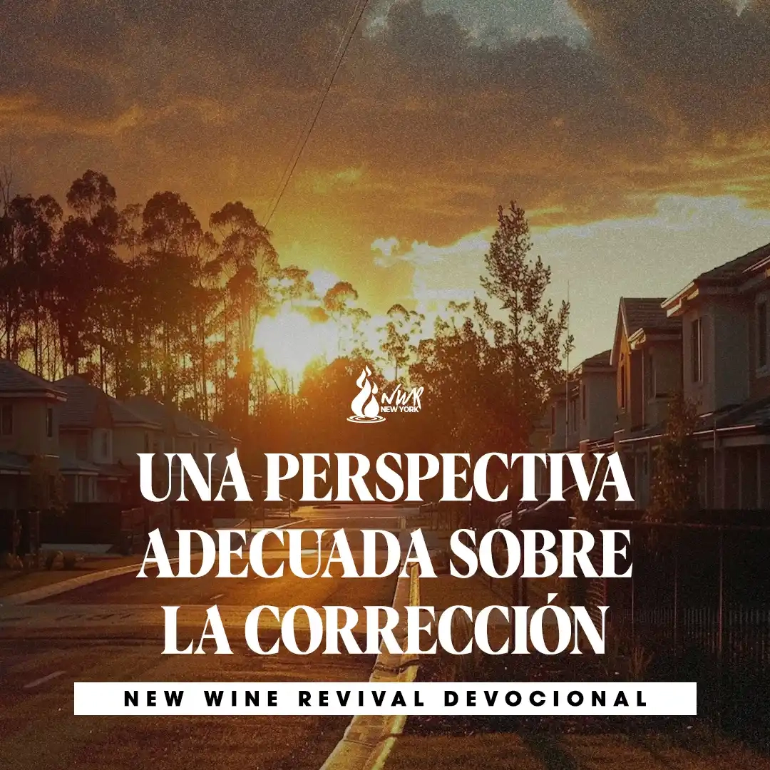 Read more about the article UNA PERSPECTIVA ADECUADA SOBRE LA CORRECCIÓN