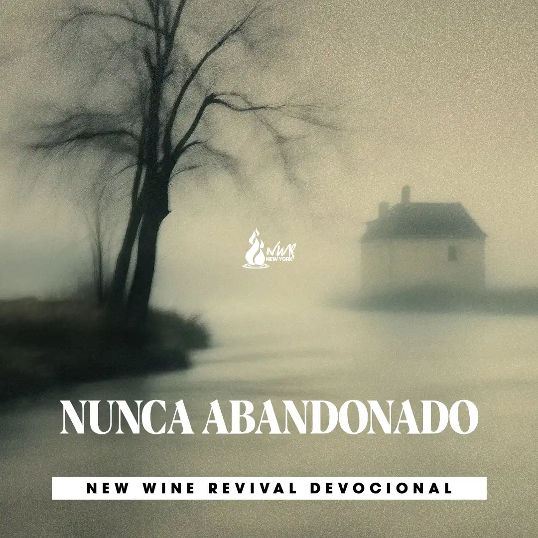 Read more about the article NUNCA ABANDONADO