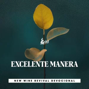 Read more about the article EXCELENTE MANERA