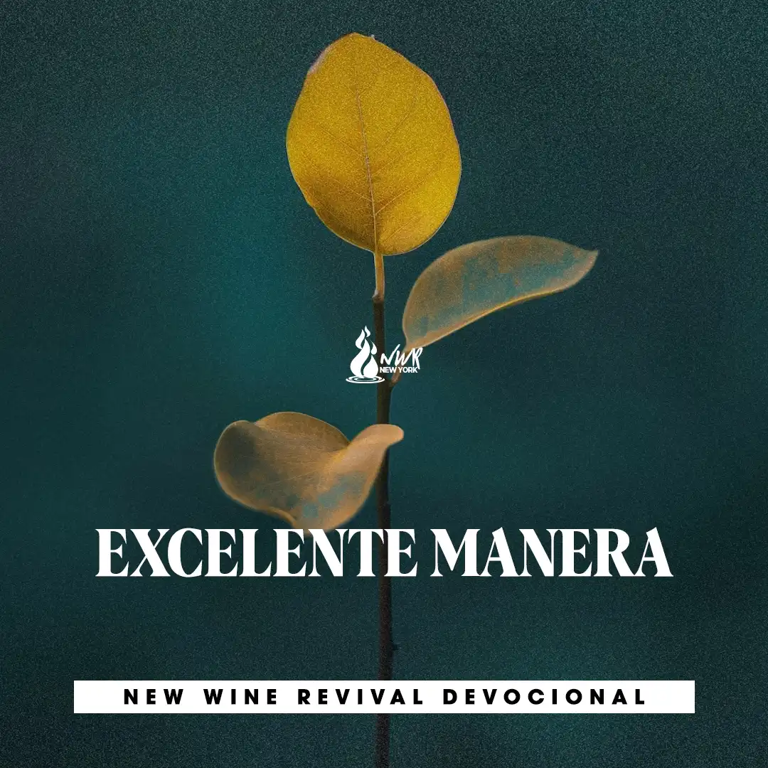 Read more about the article EXCELENTE MANERA
