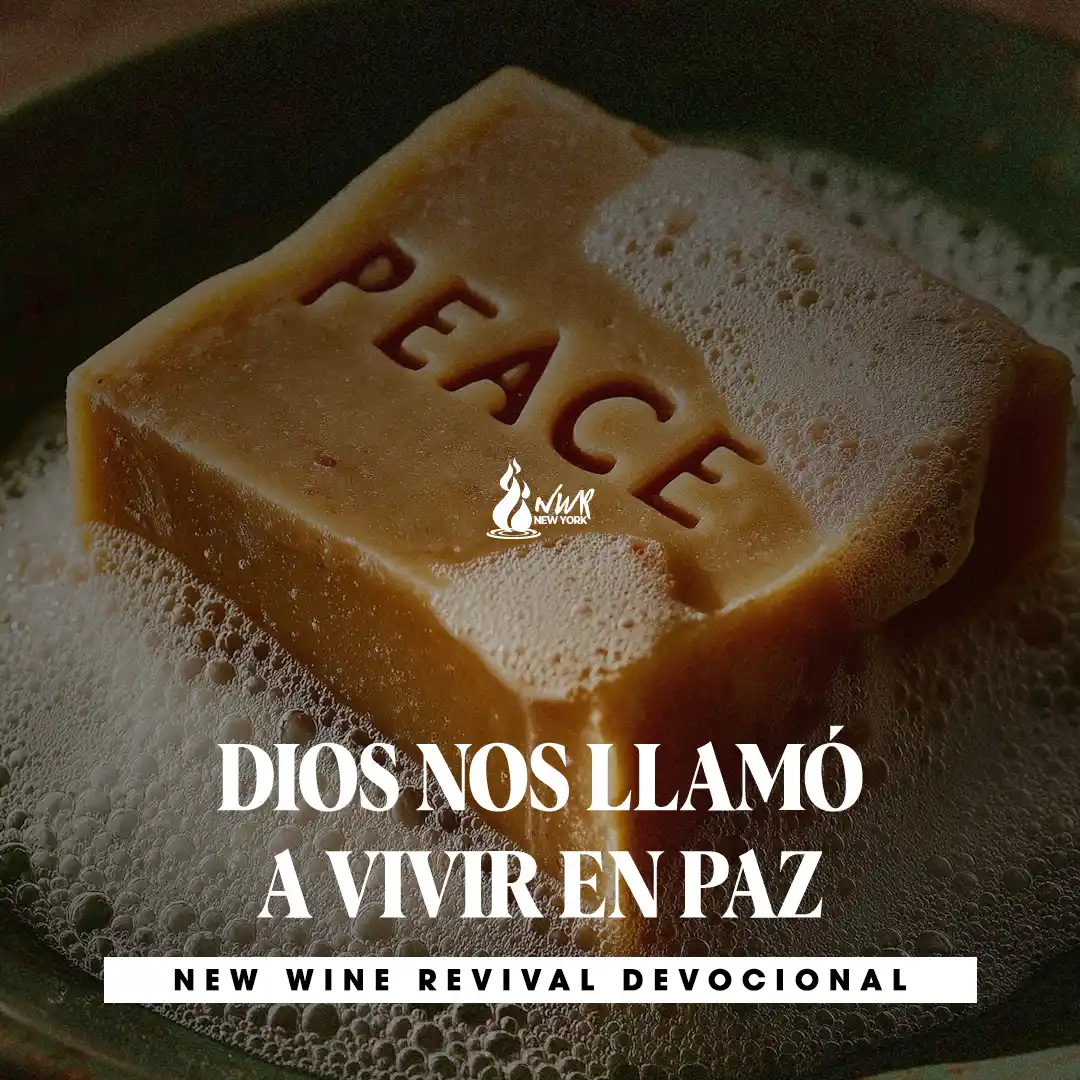 Read more about the article DIOS NOS LLAMÓ A VIVIR EN PAZ