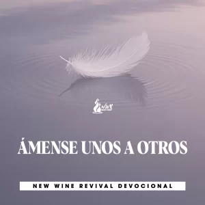 Read more about the article ÁMENSE UNOS A OTROS