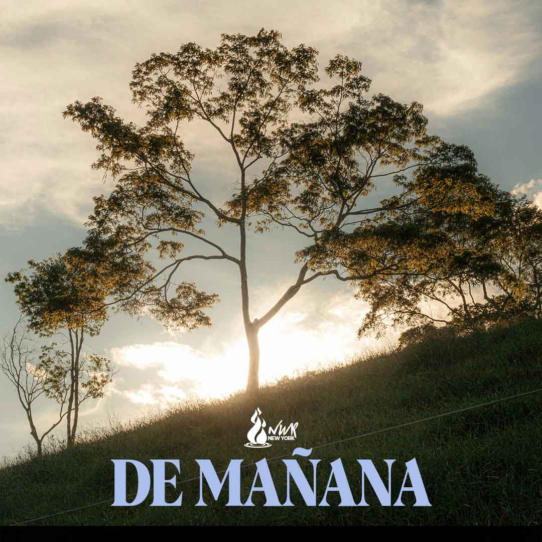 Read more about the article DE MAÑANA