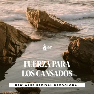 Read more about the article FUERZA PARA LOS CANSADOS
