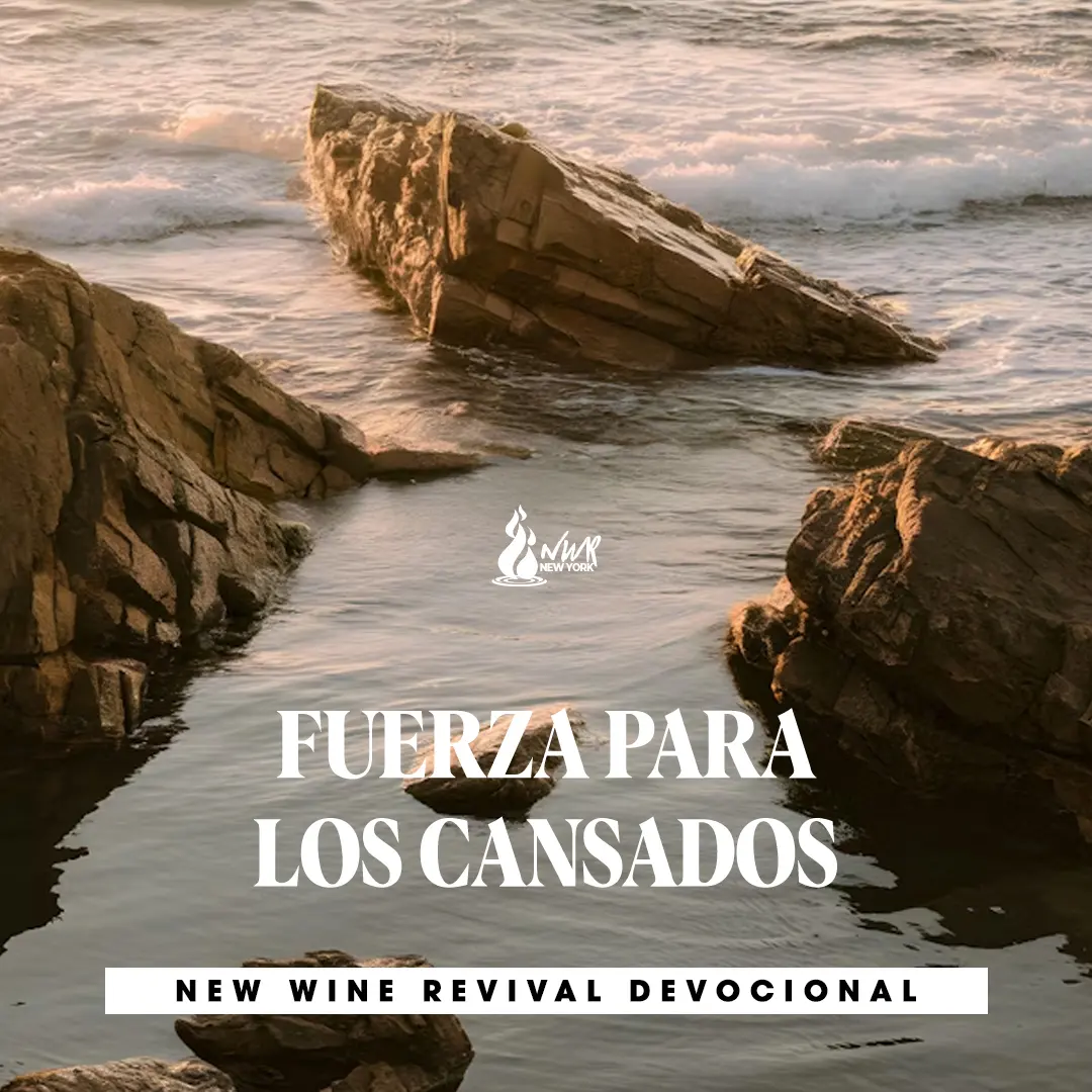 Read more about the article FUERZA PARA LOS CANSADOS