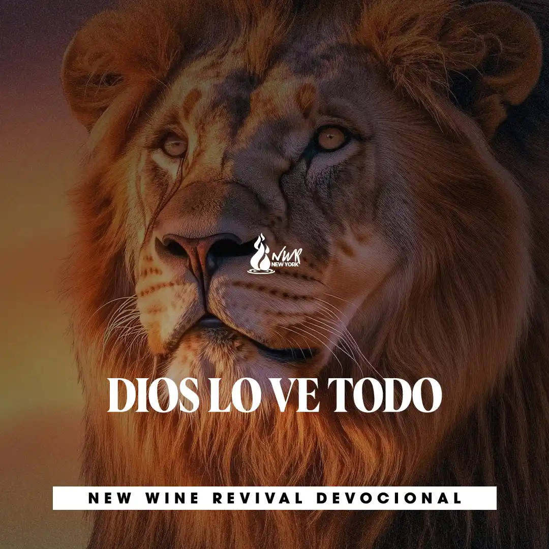 Read more about the article DIOS LO VE TODO