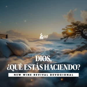 Read more about the article DIOS, ¿QUÉ ESTÁS HACIENDO?