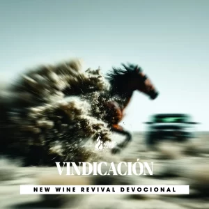Read more about the article VINDICACIÓN