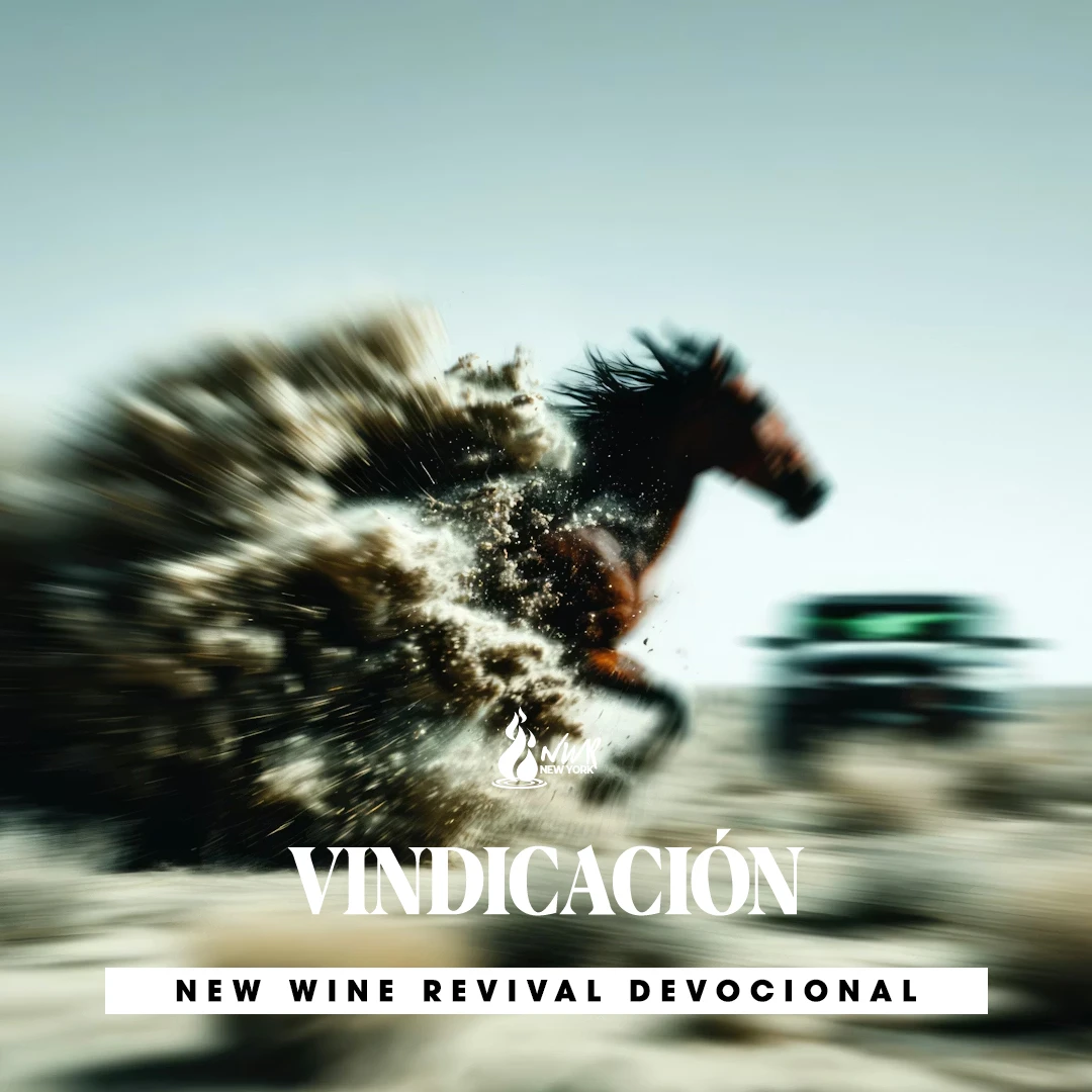 Read more about the article VINDICACIÓN