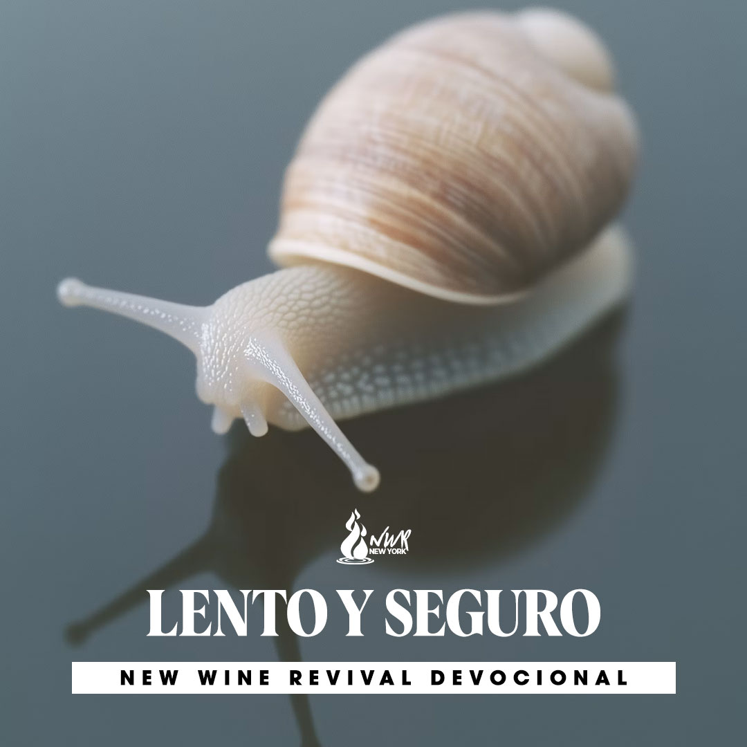 Read more about the article 24Jun –  LENTO Y SEGURO