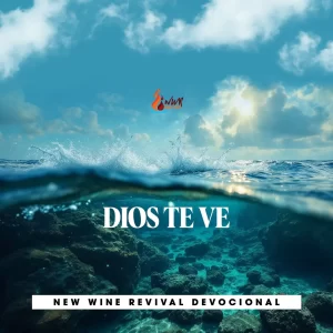 Read more about the article DIOS TE VE