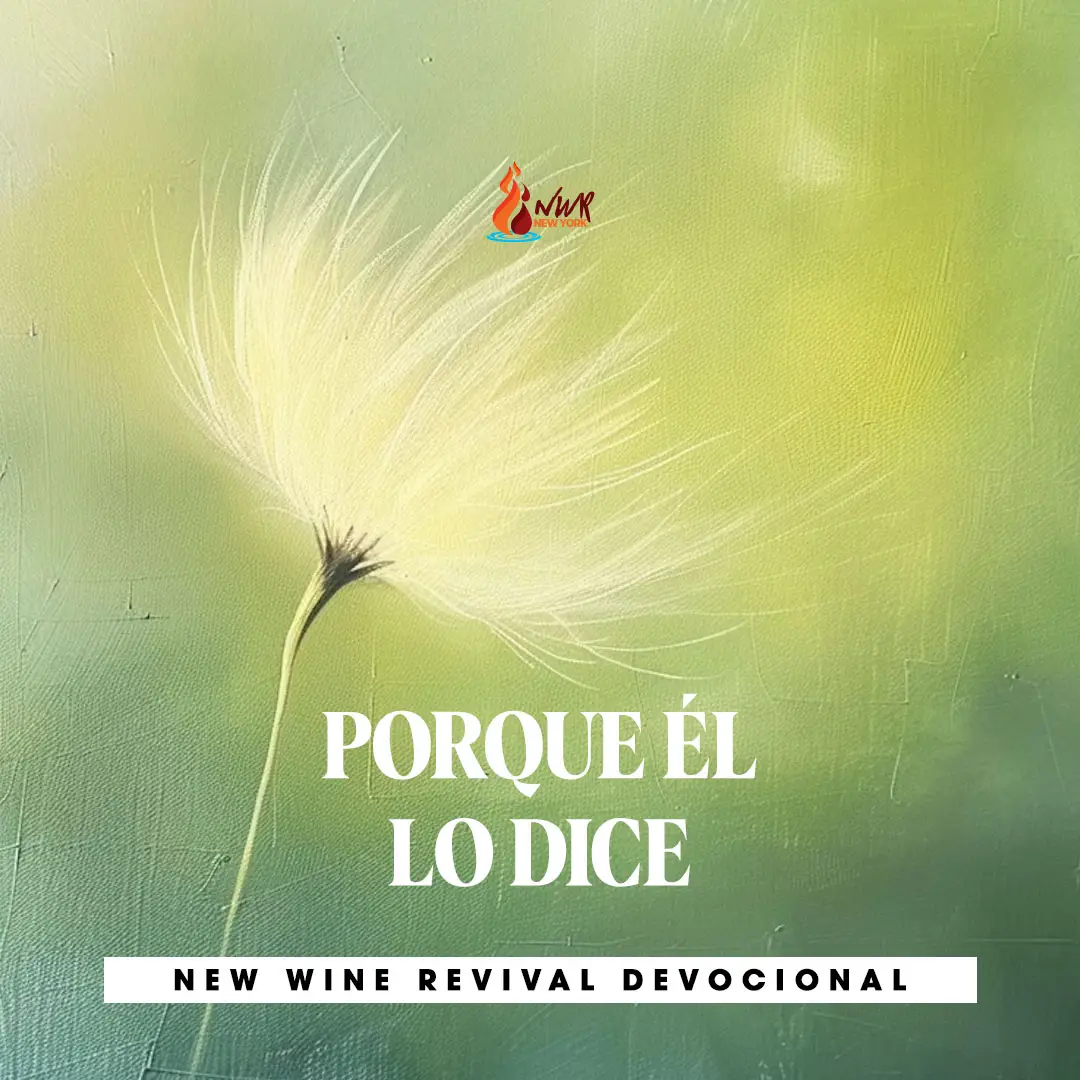 Read more about the article 23Jun – PORQUE ÉL LO DICE