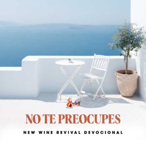 Read more about the article NO TE PREOCUPES