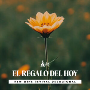 Read more about the article 23Jul – EL REGALO DEL HOY