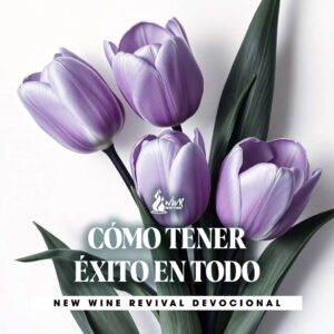 Read more about the article 27Jul – CÓMO TENER ÉXITO EN TODO