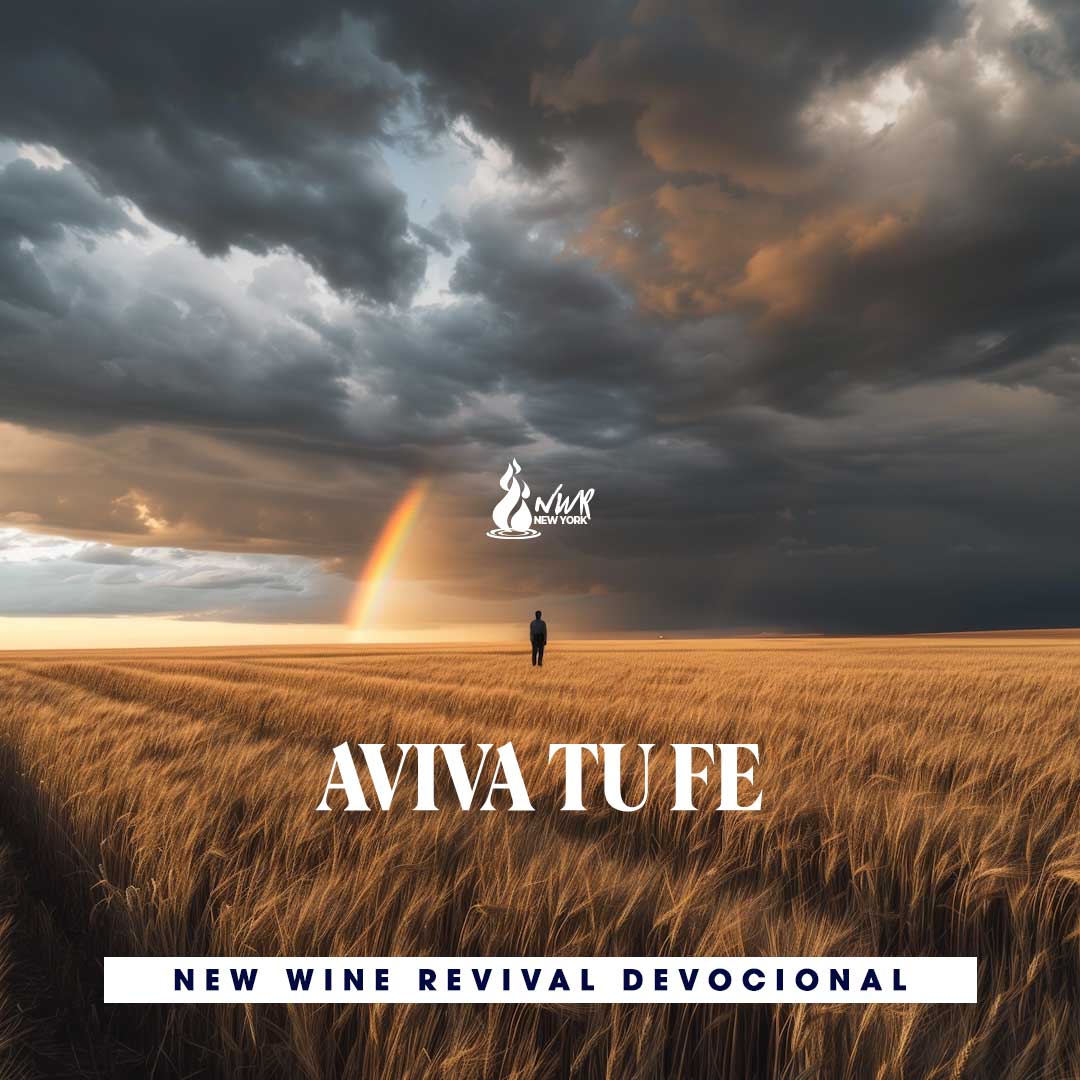 Read more about the article AVIVA TU FE