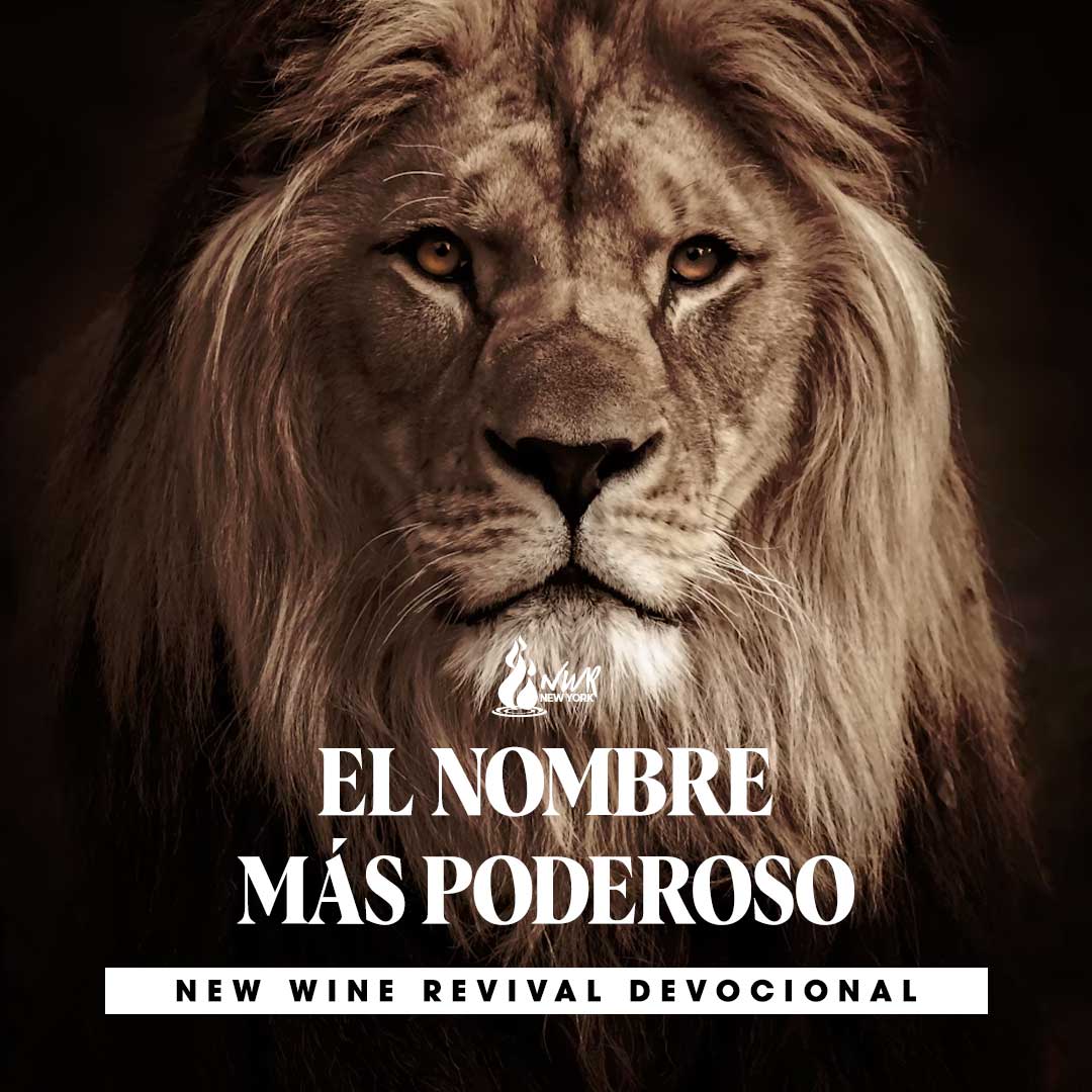 Read more about the article EL NOMBRE MÁS PODEROSO