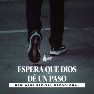 Read more about the article ESPERA QUE DIOS DÉ UN PASO