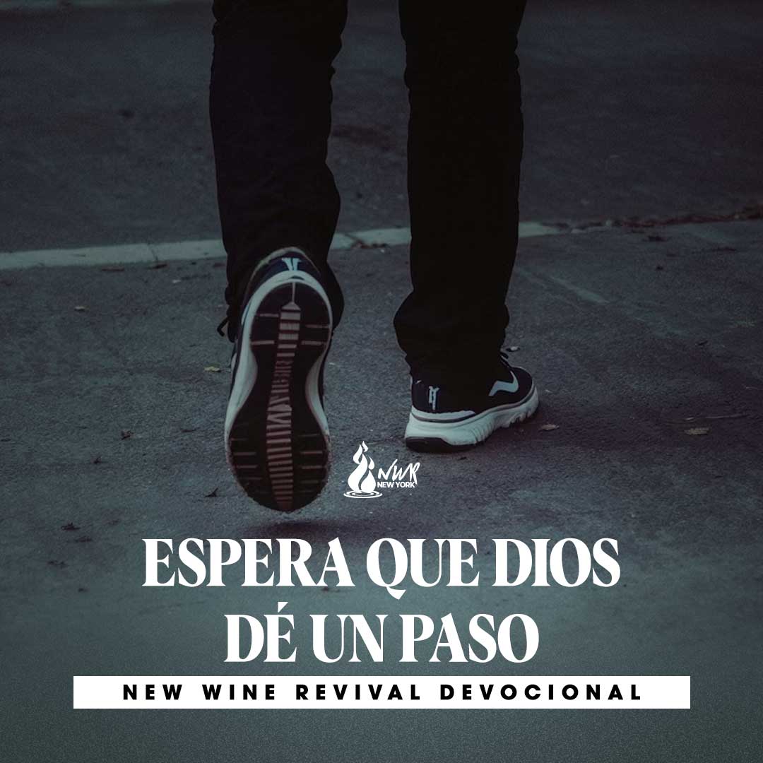 Read more about the article ESPERA QUE DIOS DÉ UN PASO