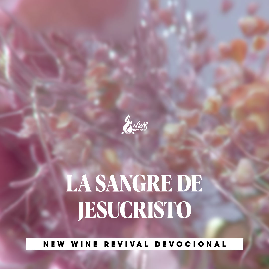 Read more about the article LA SANGRE DE JESUCRISTO