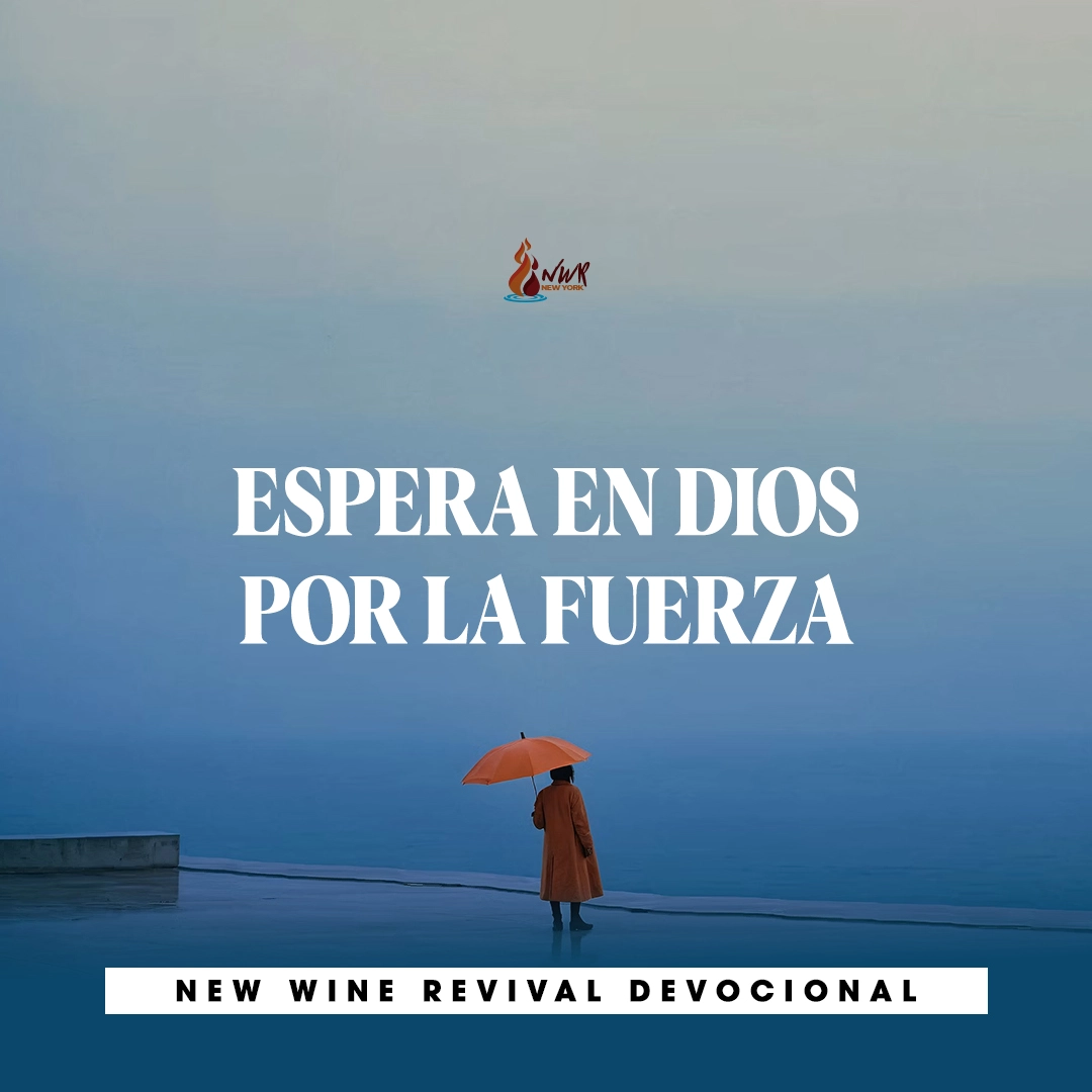 Read more about the article ESPERA EN DIOS POR LA FUERZA