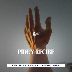 Read more about the article PIDE Y RECIBE