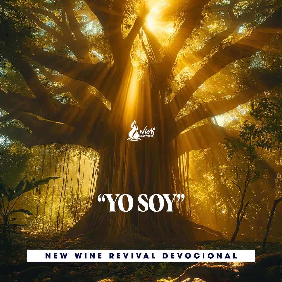 Read more about the article “YO SOY”