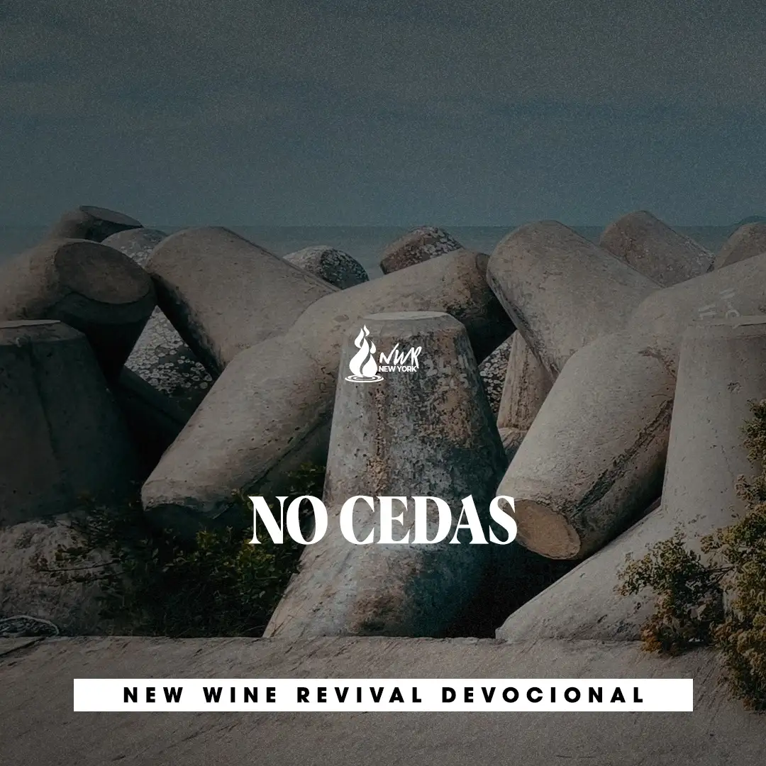 Read more about the article NO CEDAS