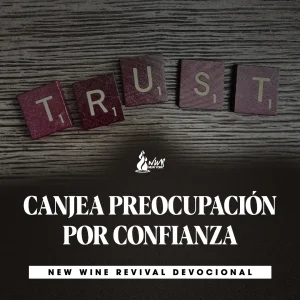Read more about the article CANJEA PREOCUPACIÓN POR CONFIANZA