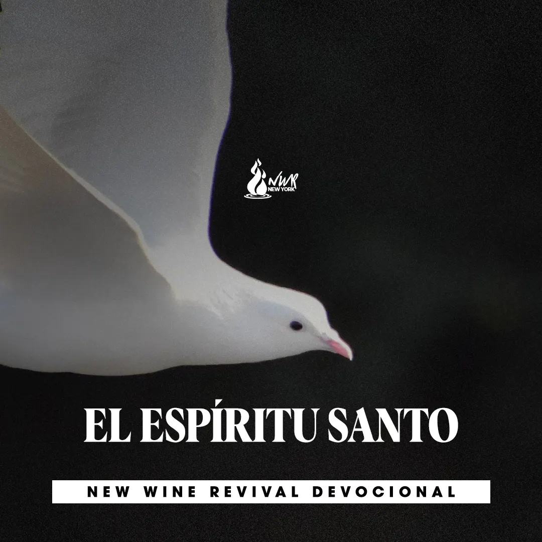 Read more about the article EL ESPÍRITU SANTO