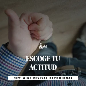 Read more about the article ESCOGE TU ACTITUD