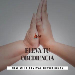 Read more about the article ELEVA TU OBEDIENCIA