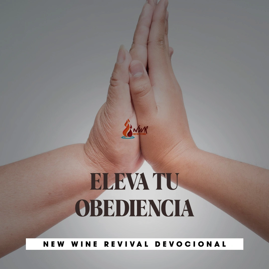 Read more about the article ELEVA TU OBEDIENCIA