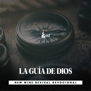 Read more about the article LA GUÍA DE DIOS