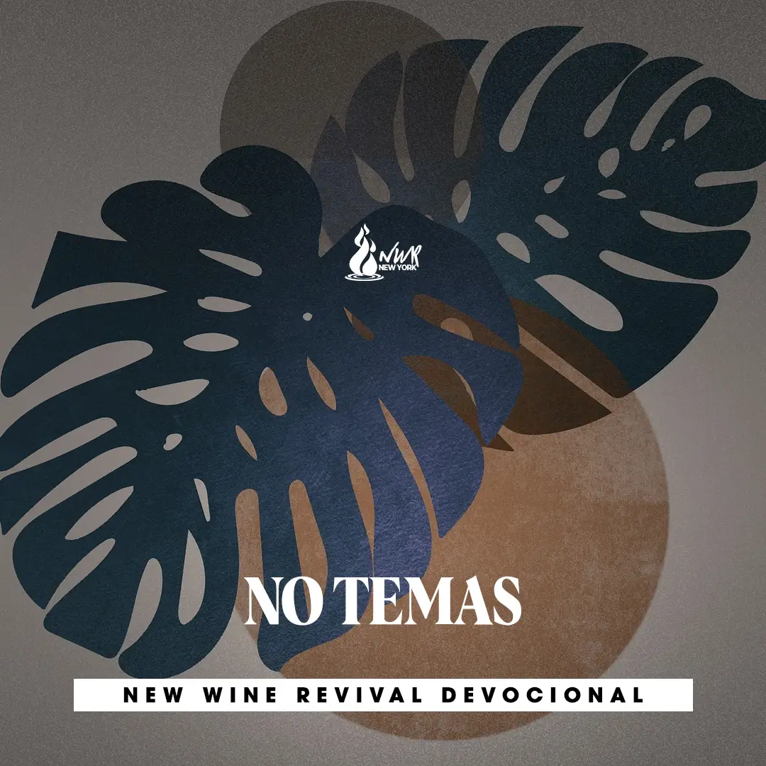 Read more about the article NO TEMAS