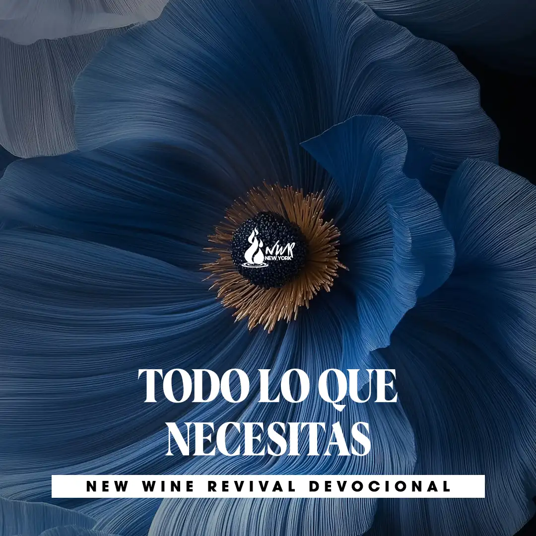 Read more about the article 09Sep – TODO LO QUE NECESITAS