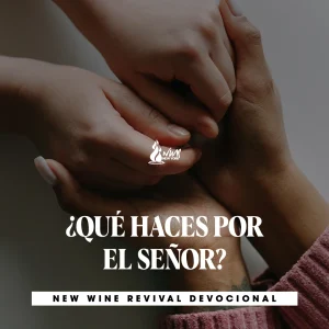 Read more about the article ¿QUÉ HACES POR EL SEÑOR?