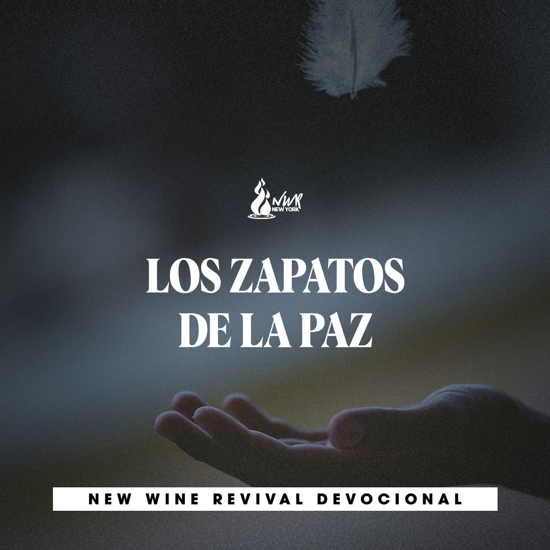 Read more about the article LOS ZAPATOS DE LA PAZ