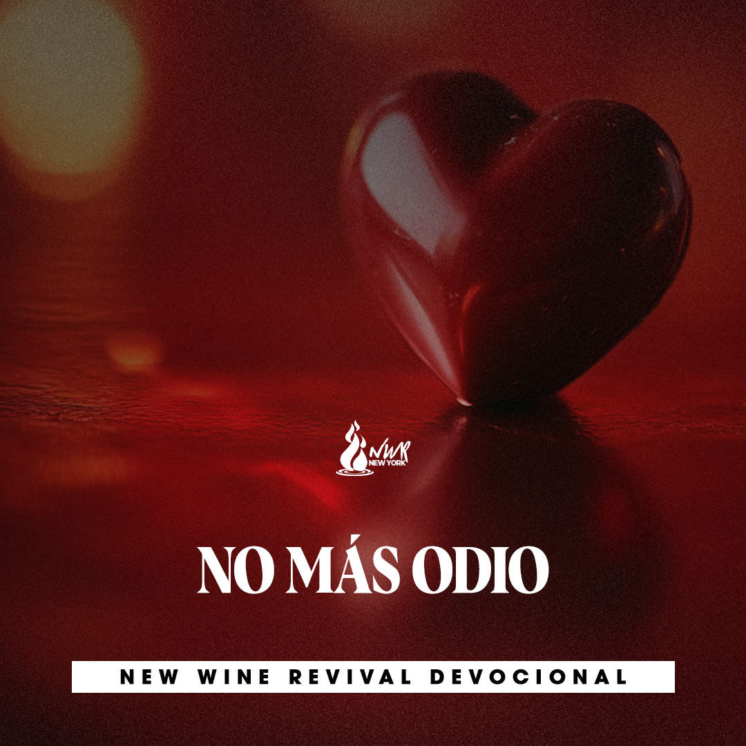 Read more about the article NO MÁS ODIO